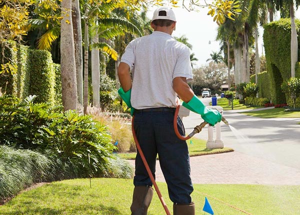About Pomona KS Pest Control